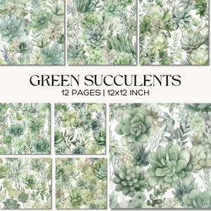 Estampados de suculentas verde salvia, patrones botánicos de cactus para scrapbooking y manualidades con papel.