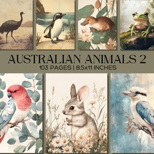 Australische Tiere Digital Papier, Niedliche Aussie Wildtiere Druckbare Seiten, Schnabeltier, Pinguin, Dingo, Kookaburra, Emu, Bilby, Nature Junk Journal