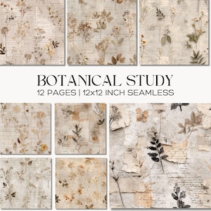 Pacote de Papel Sem Costura para Estudo Botânico, Padrões de Scrapbook com Flores Prensadas, Páginas de Fundo para Diário de Arte