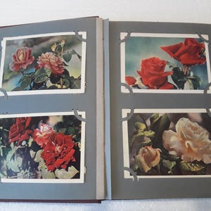 Postales soviéticas de flores de la década de 1960 - 100 piezas únicas para álbum