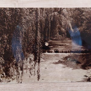 May include: Sepia-toned photograph of a serene river scene. The image features a flowing river with small waterfalls, surrounded by lush trees with cascading branches. The photograph is mounted on a rectangular surface.