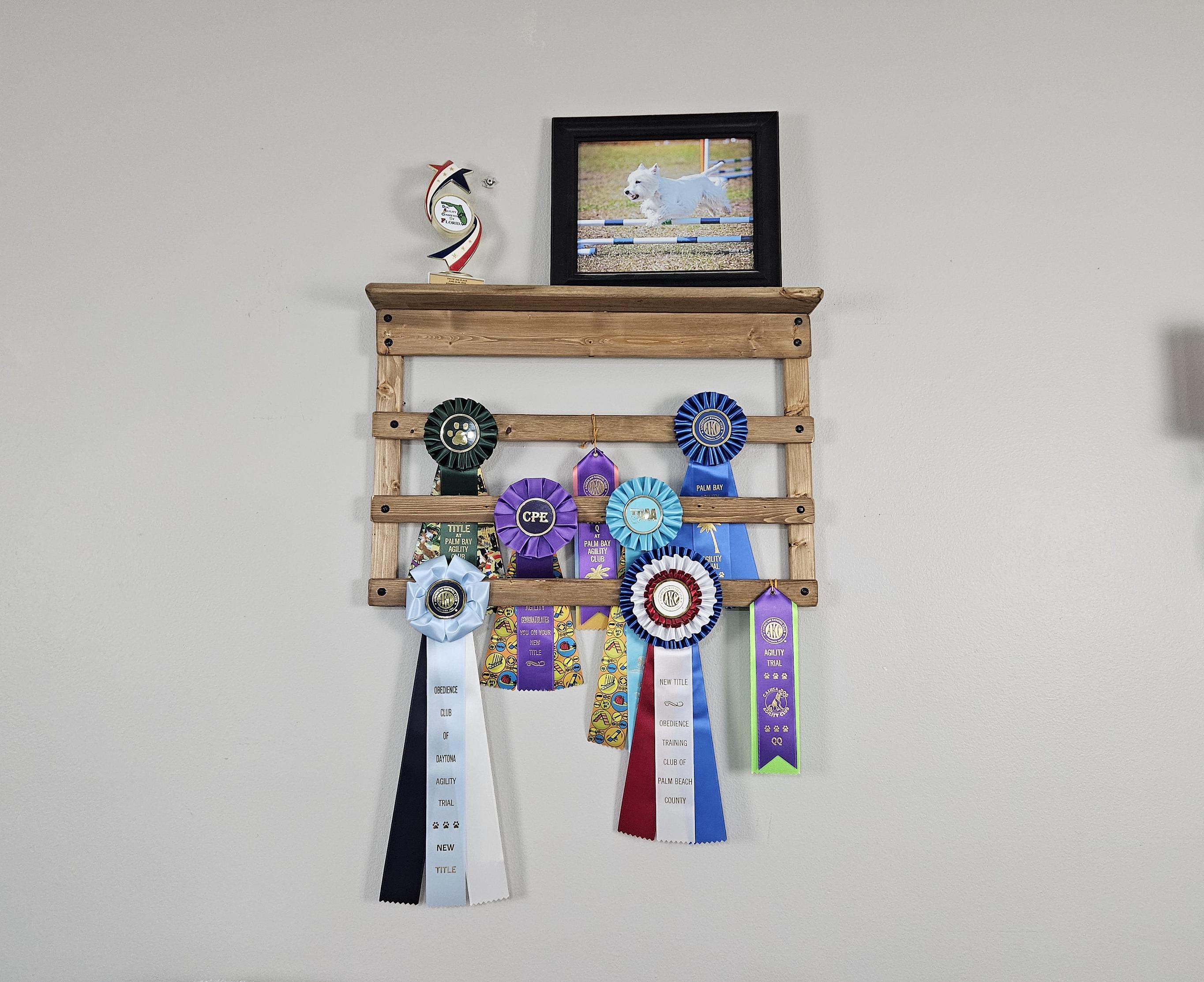 Wooden Award Display Racks: 24