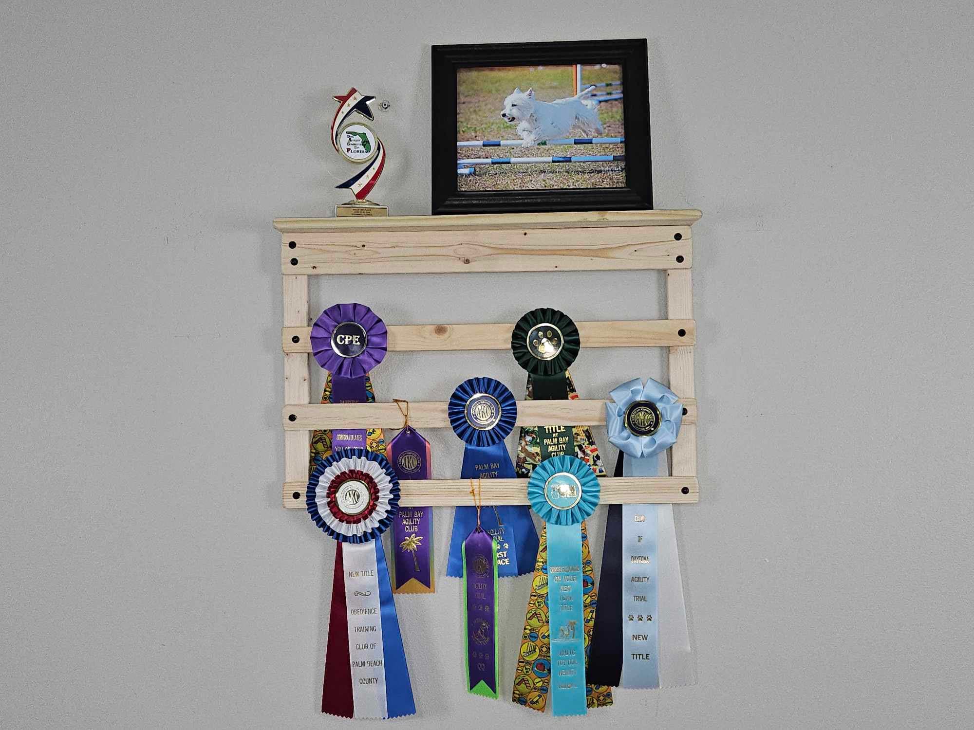 Wooden Award Display Racks: 24