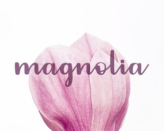Magnolia Brush Font