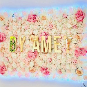May include: A white and pink flower wall with the words "BY AMEY" in gold letters.