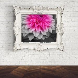 Black and White Color Splash Flower Print, Pink Flower Photography Print, Color Splash Photo, Flower Wall Decor, Digital Download