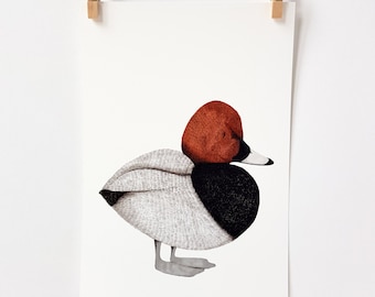 Pochard, Digital Print, Hand Illustrated, A5