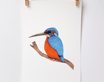 Kingfisher, Digital Print, Hand Illustrated, A5