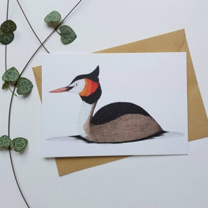 Cartão comemorativo Great Crested Grebe, ilustrado à mão, A6