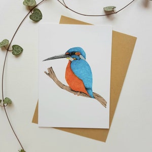 Cartão Kingfisher, ilustrado à mão, A6