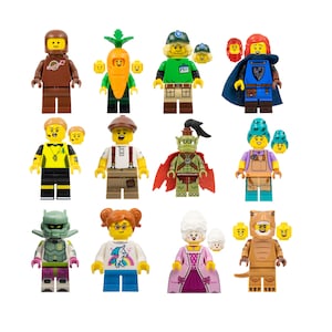 One LEGO® Collectible Minifigure Series 24 [71037]