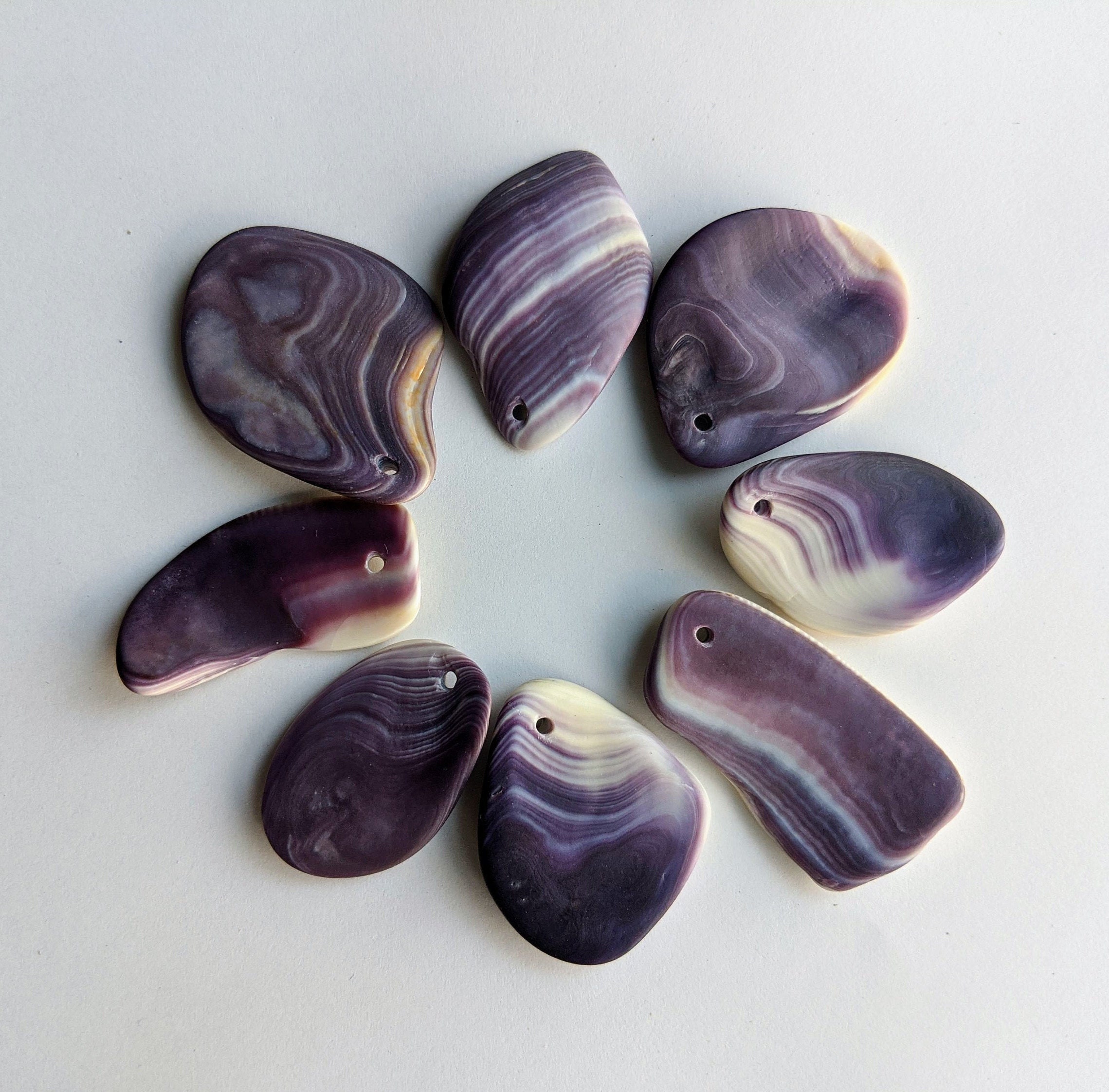 Top Drilled Purple Wampum Quahog Shell Shards Perfect for Etsy