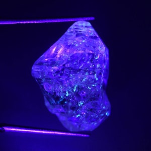 Rare Golden Enhydros Quartz, Natural Petroleum Quartz, UV Reactive Raw 17ct Quartz
