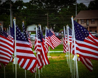 USA Flag