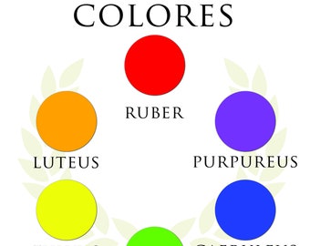 Colores Digital Latin Poster