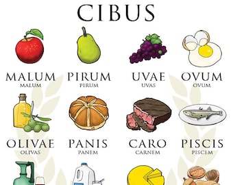 Cibus Digital Latin Poster