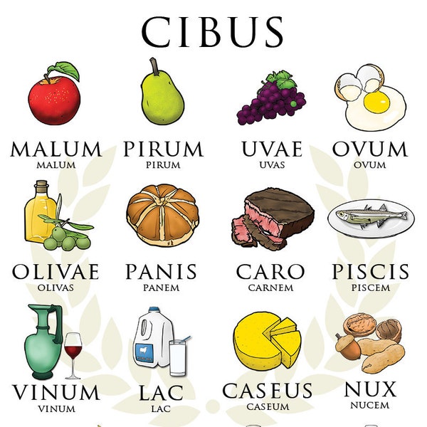 Cibus numérique affiche Latin