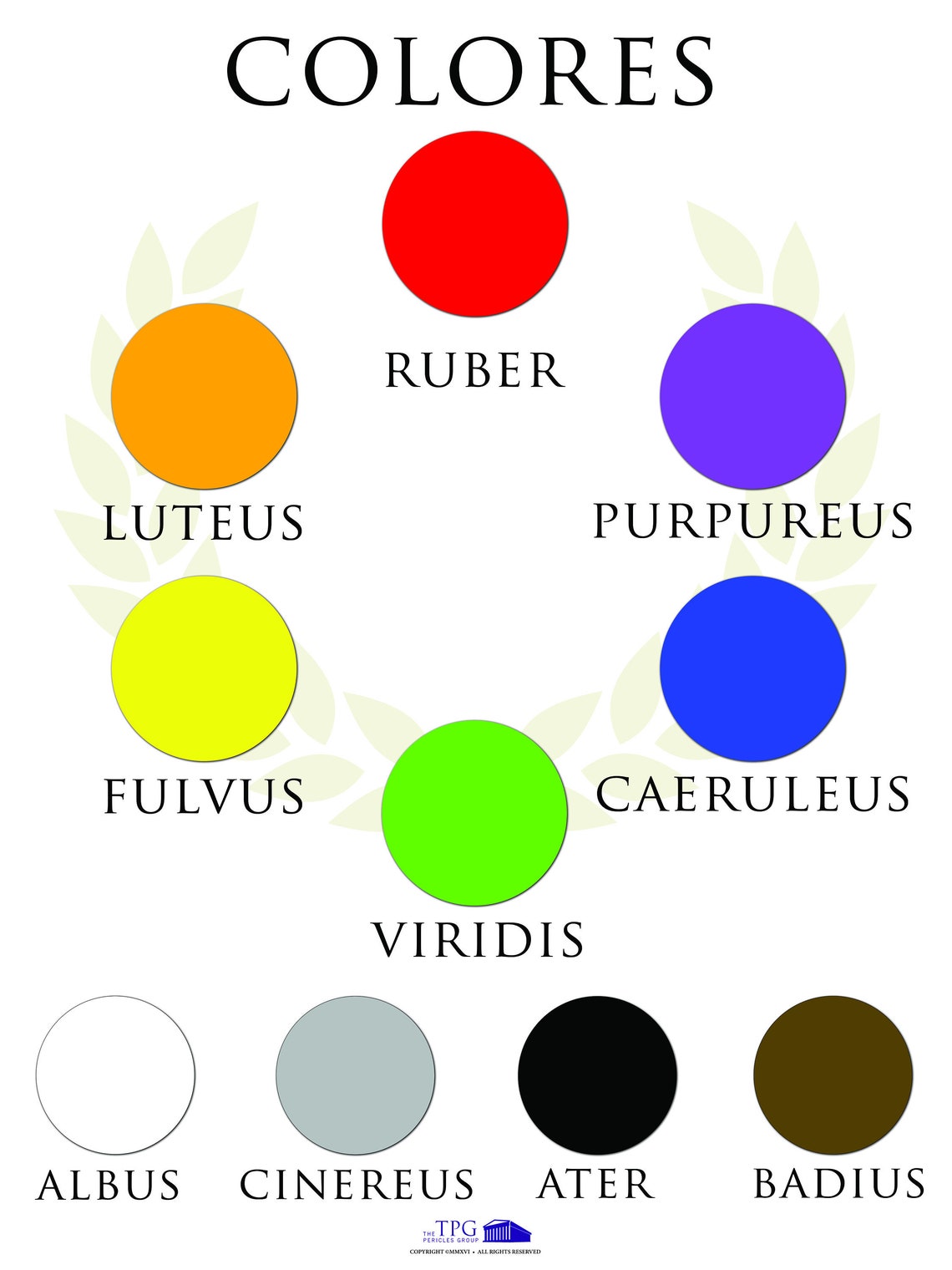 Colores Digital Latin Poster Etsy
