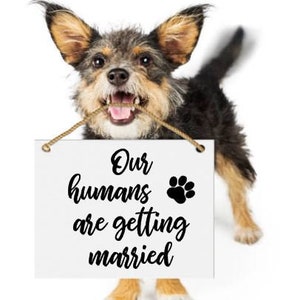 Our humans are getting married SVG cutting file. 3 versions, Fur Baby engagement/wedding announcement