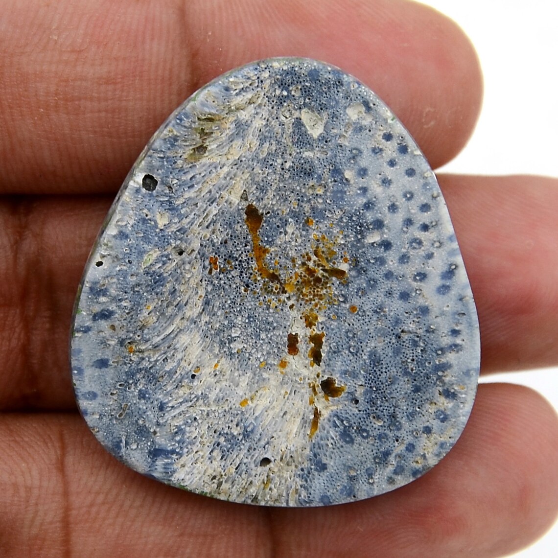 61.10 Cts Extremely Rare Blue Coral Loose Cabochon Gemstone Etsy