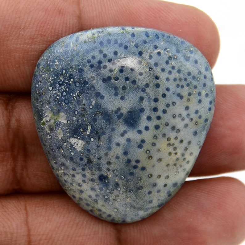 61.10 Cts Extremely Rare Blue Coral Loose Cabochon Gemstone Etsy