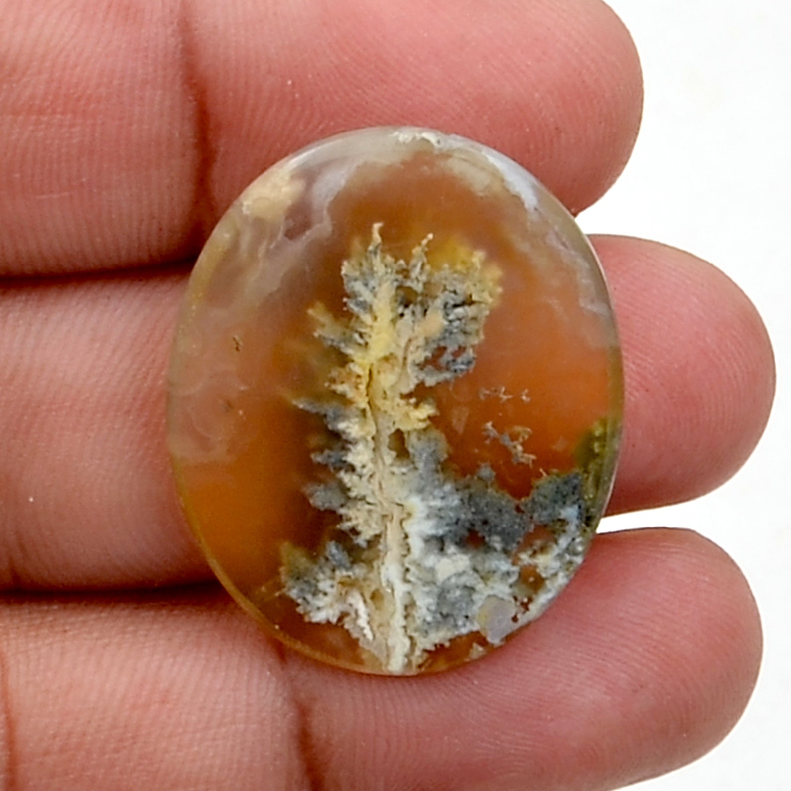 24.25 Cts Graveyard Point Plume Agate Loose Cabochon Gemstone Etsy