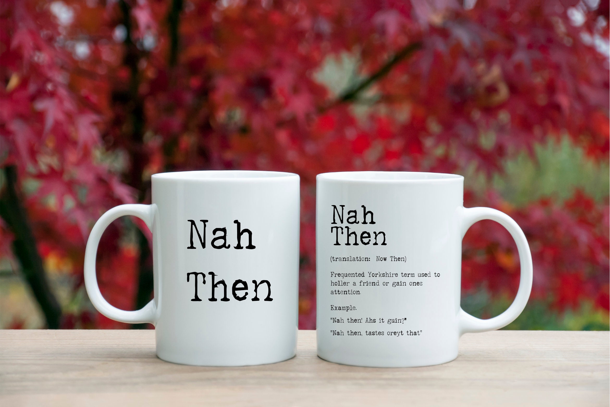 Nah Then Mug Yorkshire Dialect Northerner Slang Mug Etsy UK