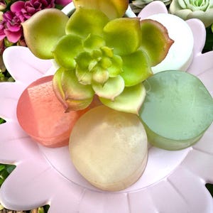 Mini jabón de lufa (paquete de 4): Miel, rosa, coco y albahaca - Set de regalo exfoliante de viaje