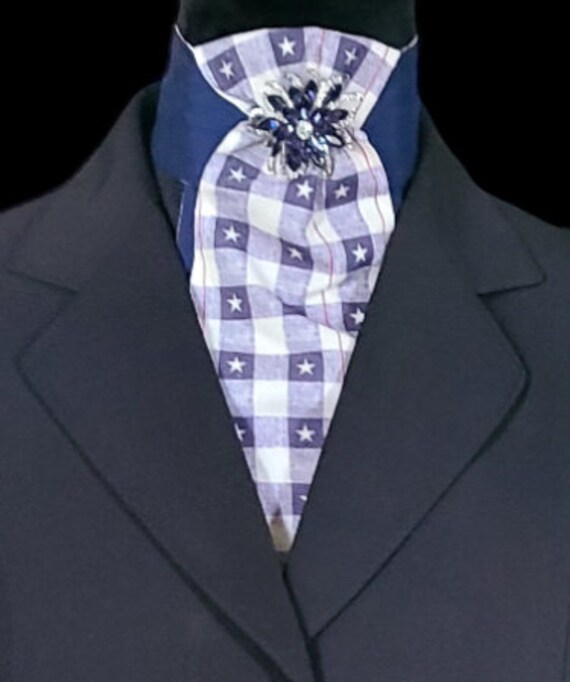 dressage stock ties for sale