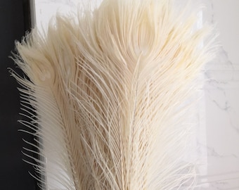 20 pcs ivory off white peacock tail feather pheasant feather 30-34inch for costumes craft supply