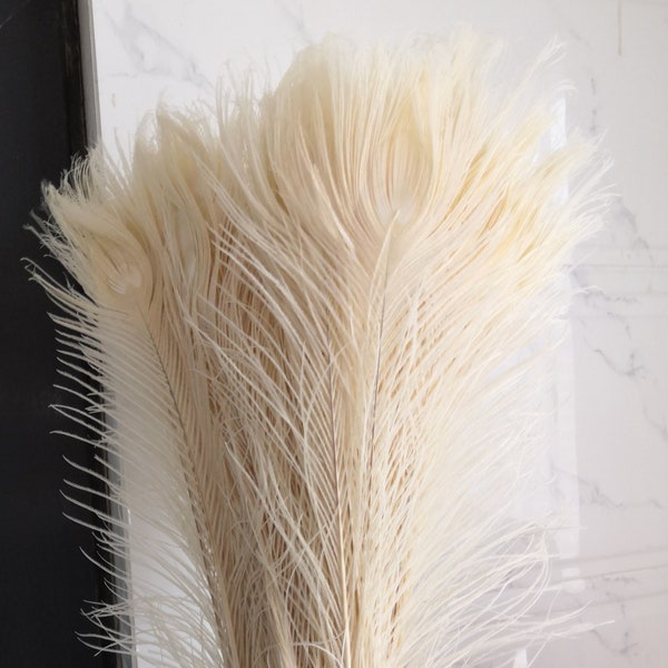 20 pcs ivory off white peacock tail feather pheasant feather 30-34inch for costumes craft supply