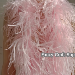 May include: A pink ostrich feather boa. The boa is soft and fluffy, and it is perfect for adding a touch of glamour to any outfit. Fancy Craft Supply.