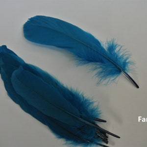 36 colors 100 pcs dark blue teal blue goose feather pheasant feather 4-7inch for costumes craft supply