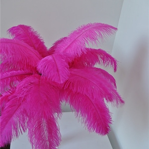 Hot Pink Fuchsia Ostrich Feather Ostrich Plume 50 Pcs for - Etsy