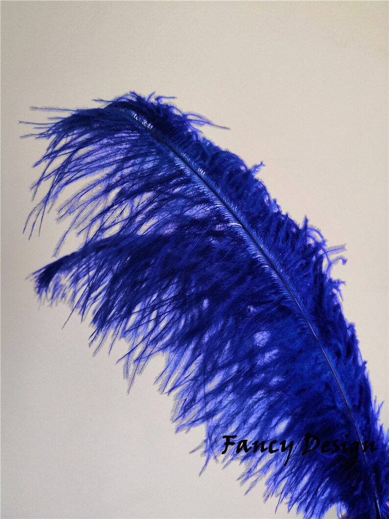 Royal Blue Ostrich Feather 50 Pcs 520inches for Wedding Party Etsy