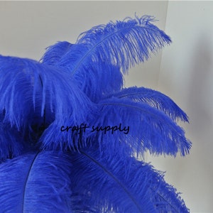 Royal blue ostrich feather plume 50 pcs 5-20inches for wedding party feather centerpiece decor craft supply