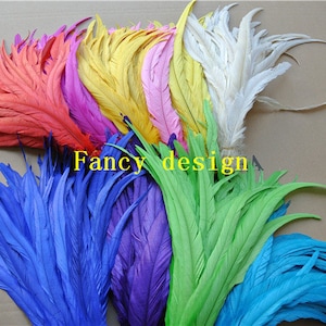 May include: Assortment of colorful rooster tail feathers. The feathers are arranged in a fan shape and include colors like red, yellow, pink, white, blue, purple, and green.