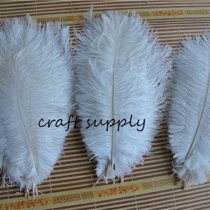 Simplicity Ostrich Feather Boa 6X6yd-White