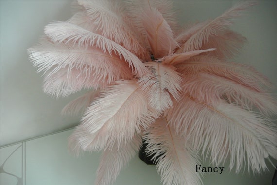 light pink ostrich feathers