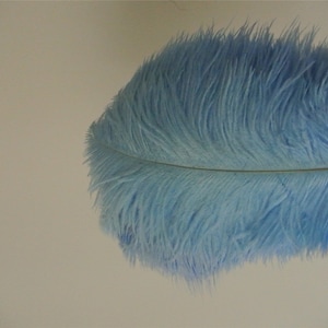 100 pcs plume d&#39;autruche bleu clair pour centres de table de noce décoration de mariage artisanat fête de bal d&#39;étudiants approvisionnement personnalisé