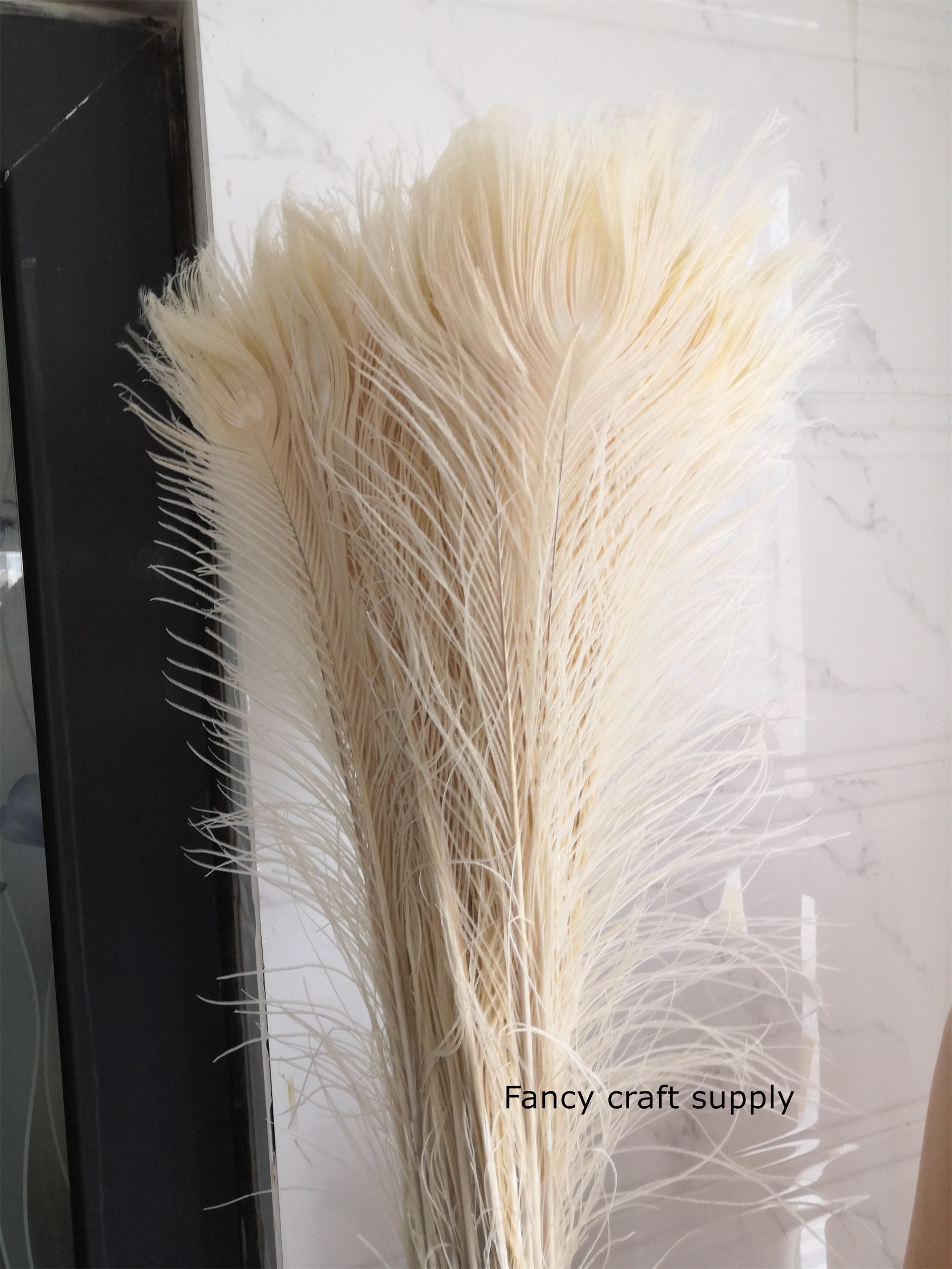 20pcs Top Quality Peacock Feathers for Decoration 25-30CM Natural