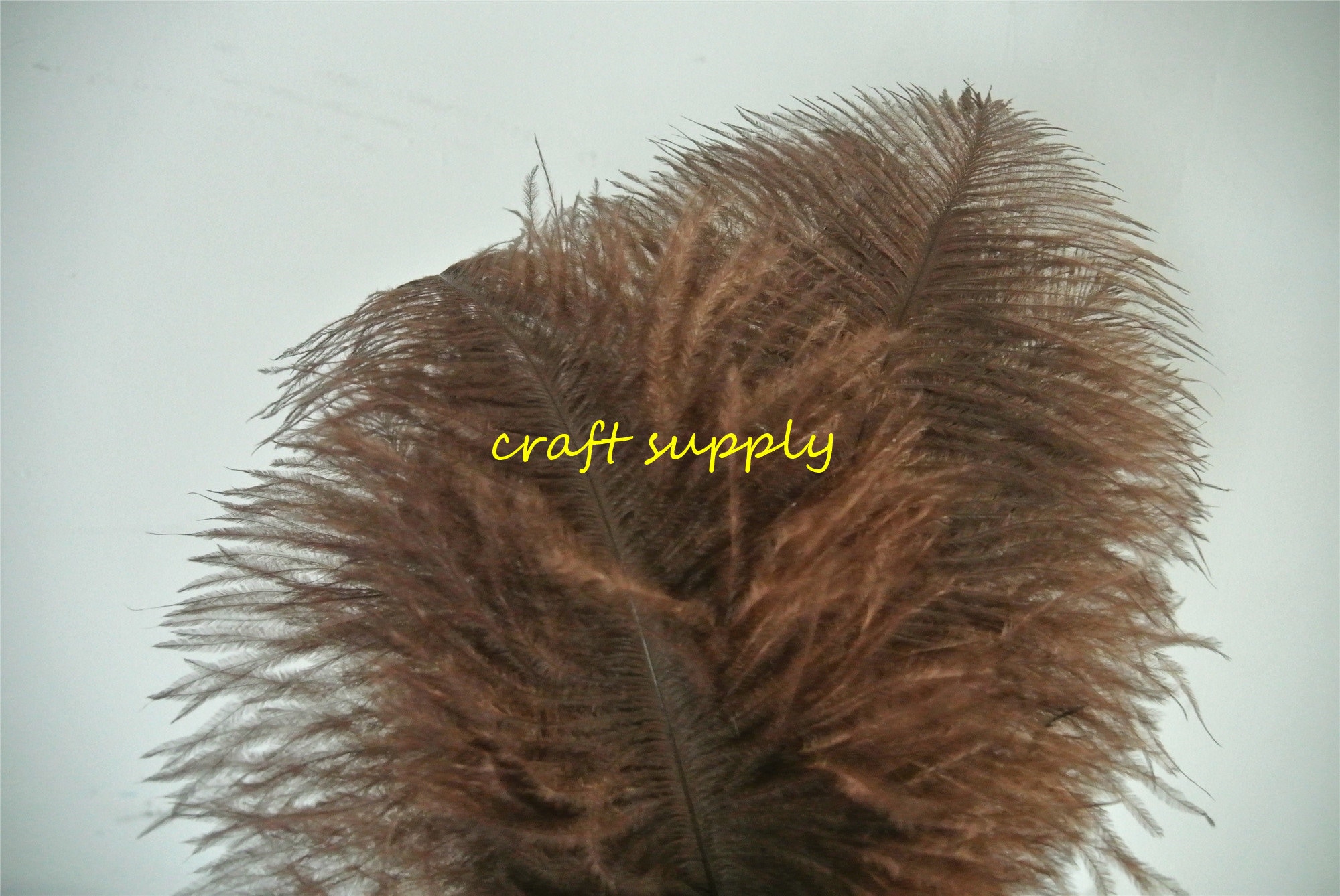 100 pcs dark brown ostrich feather plume for wedding party Etsy