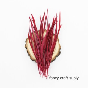 100 pcs  burgundy wine red Goose Biots Stripped Feathers for costumes craft supply