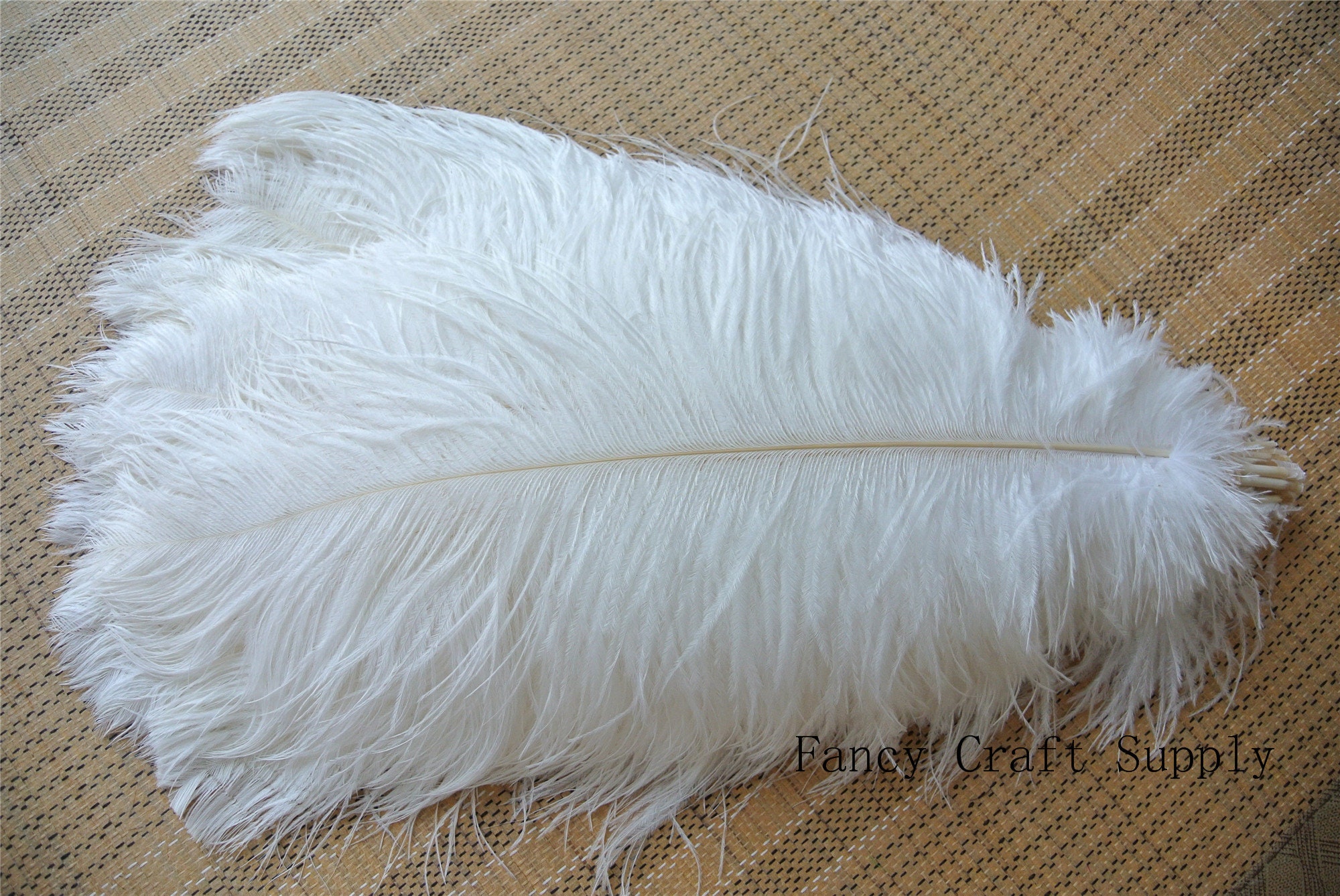 Piokio 10 pcs Natural White Ostrich Feathers 10-12 inch(25-30 cm