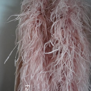 Op de afbeelding: Een roze struisvogelveren boa. De boa is lang en pluche, en hij is gedrapeerd over de schouders van een mannequin. De tekst "Fancy" staat op de boa.