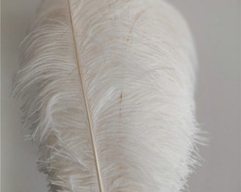 white ostrich feather 22-24inches 50 pcs for wedding party centerpiece decor craft supply feather fan supply
