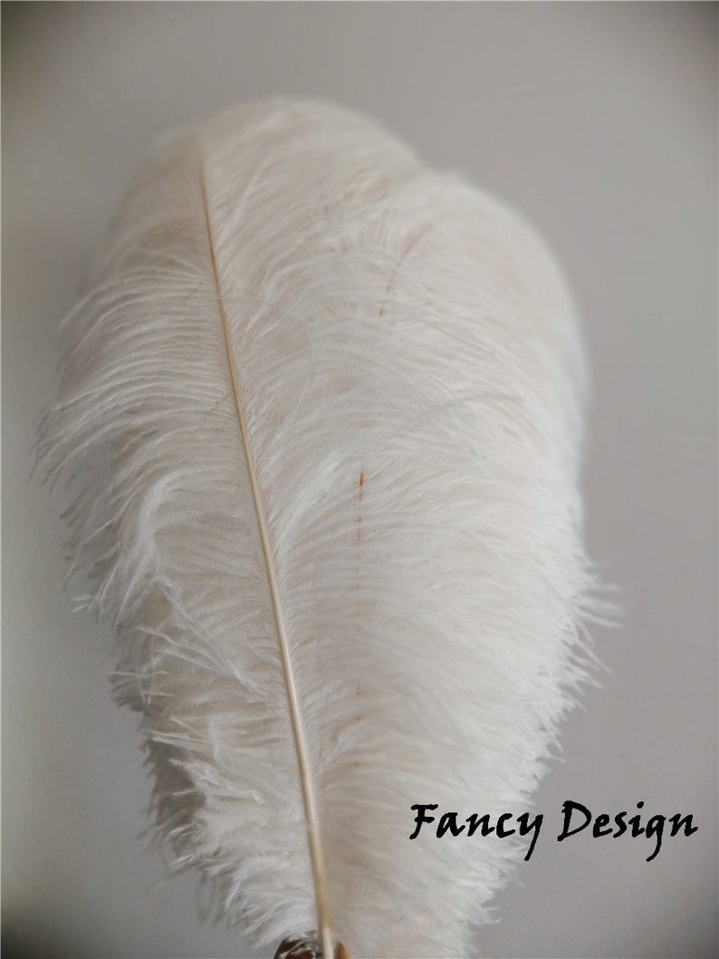 white ostrich feather 22-24inches 50 pcs for wedding party cente white ostrich feather 22-24inches 50 pcs for wedding party cente