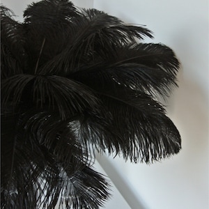 Black 5-22inch ostrich feather ostrich plume 100 pcs for wedding party centerpiece wedding decor craft party custome supply