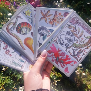 Vintage botanical illustration cards "Incredible plants"