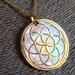 Seme della Vita in oro rosa su argento 925, madreperla e rubino, gioiello geometrie sacre con